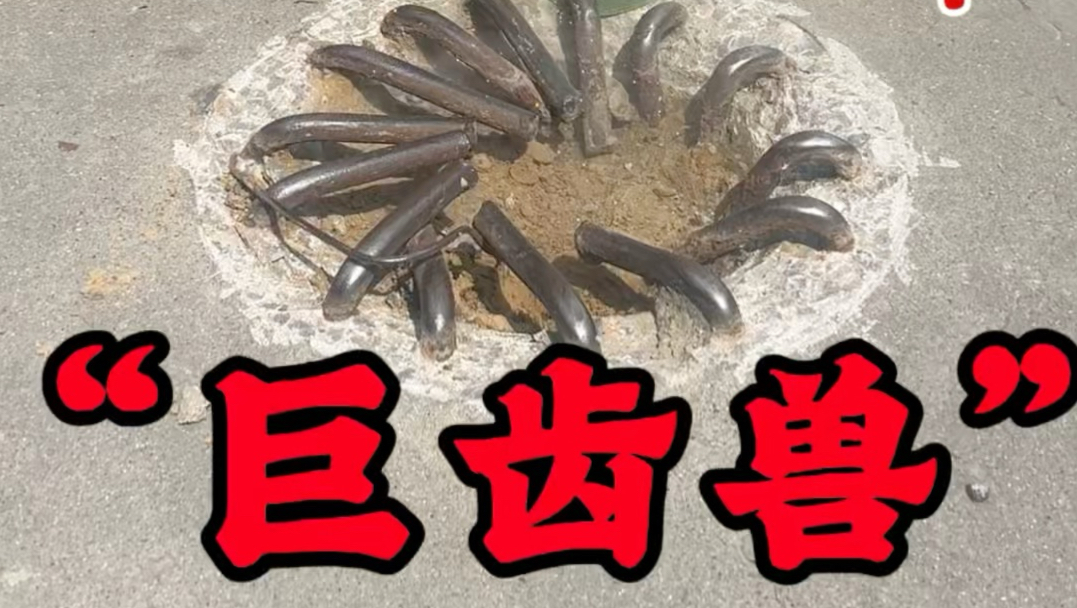 马路中间专题封面