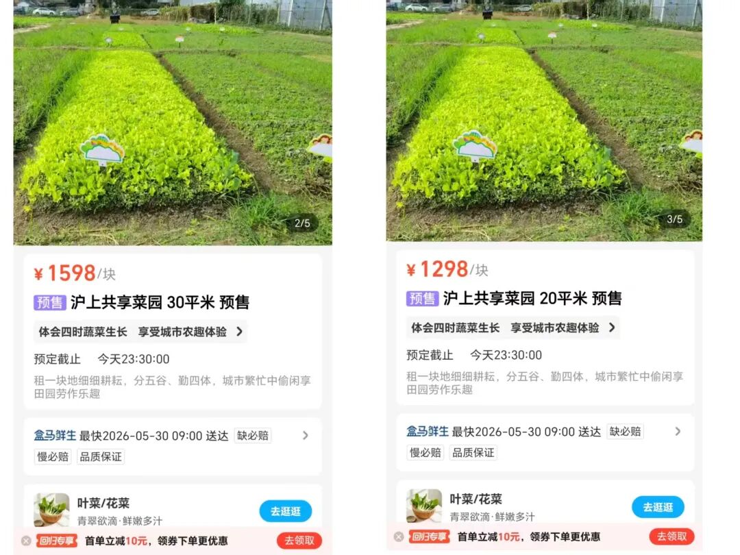 现实版专题封面