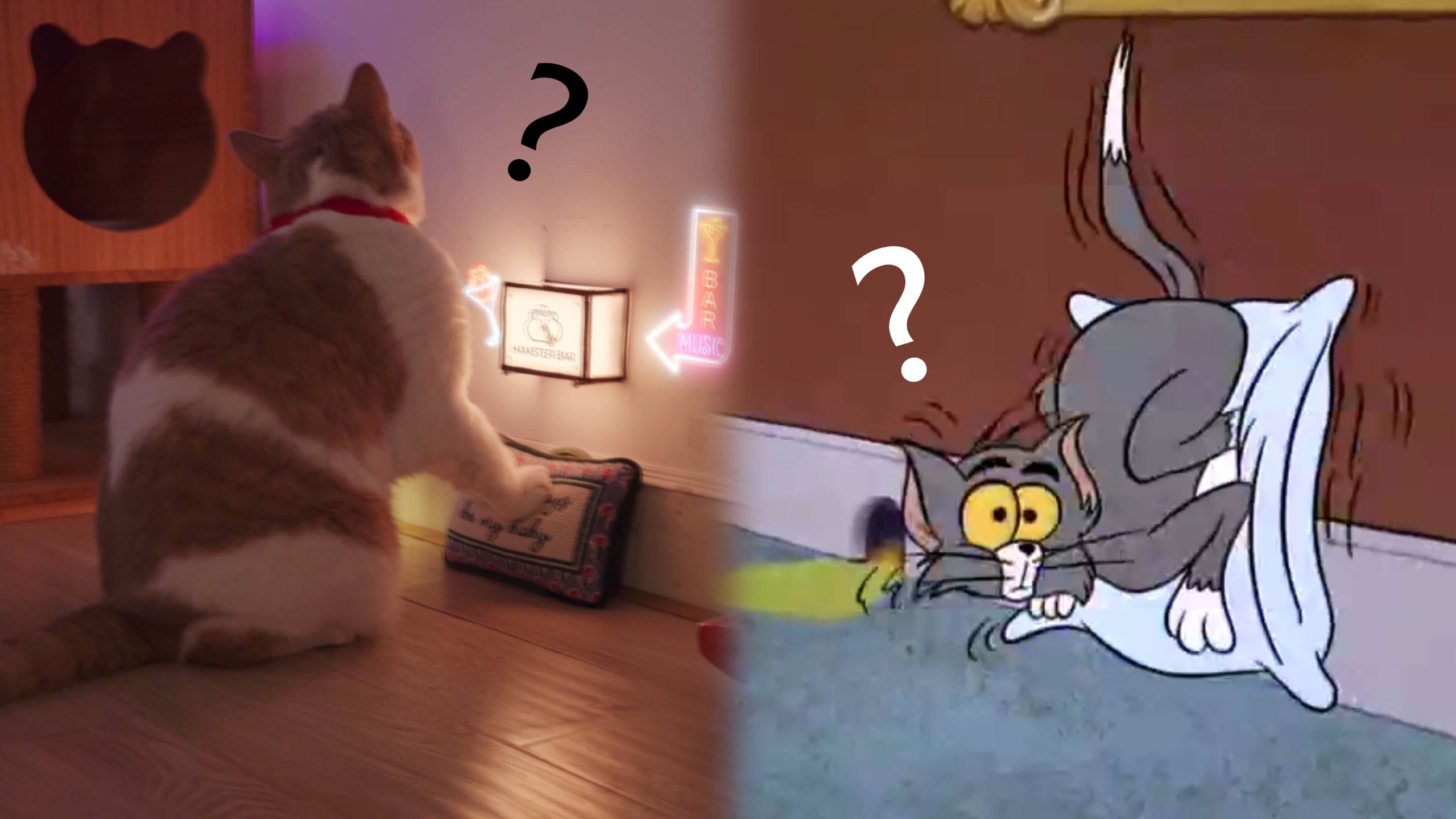 摇滚舞会专题封面