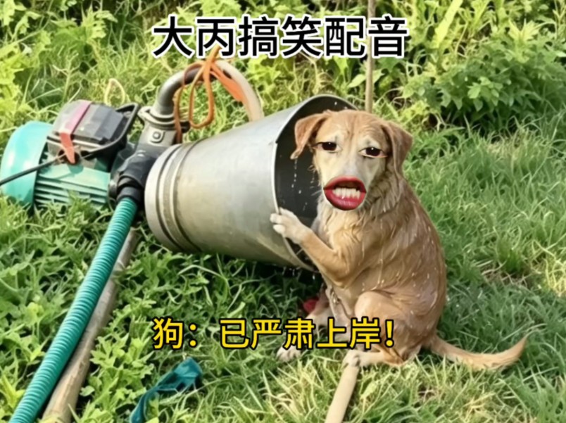 已严肃上专题封面