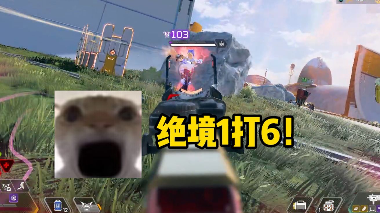 哈基派专题封面