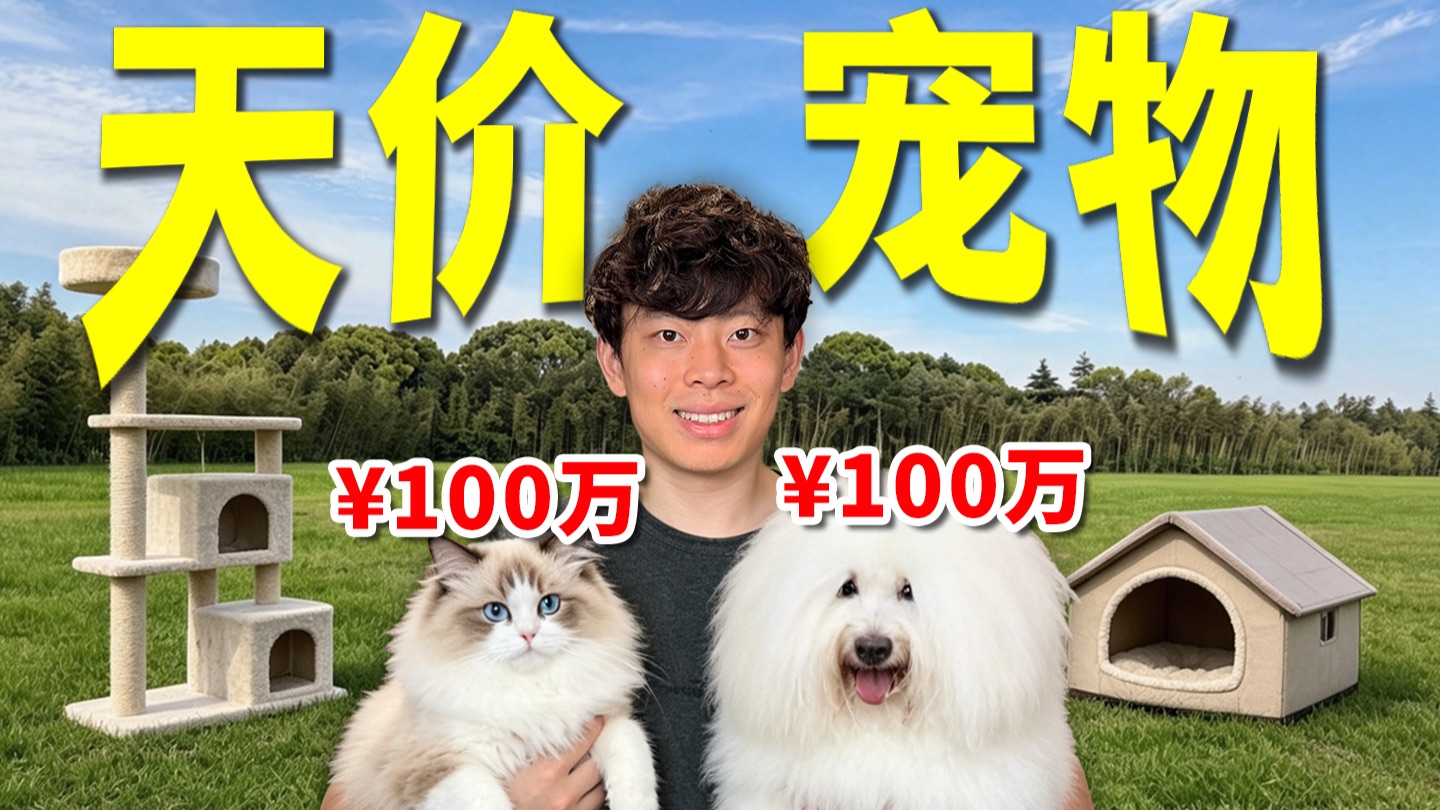 天价宠物专题封面
