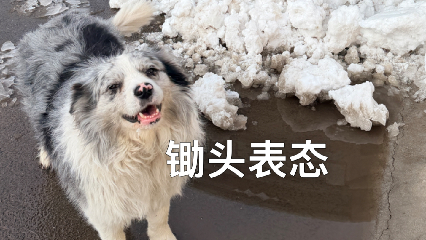 网上都在专题封面