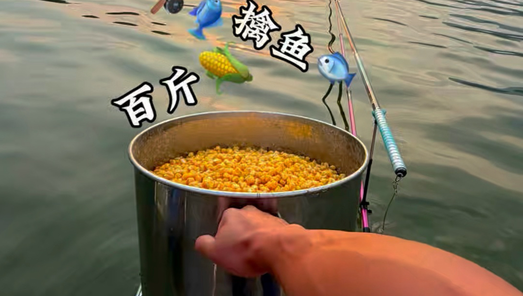 百斤玉米专题封面