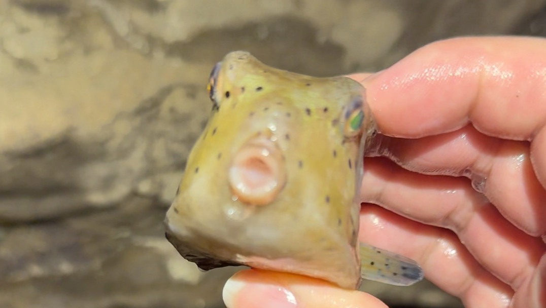 看看赶海专题封面