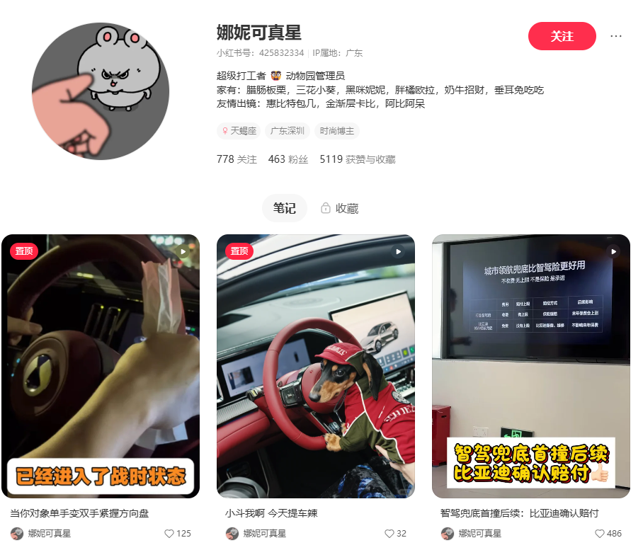 比亚迪城市领航兜底首例赔付落地：24 小时内完成技术判定，腾势 Z9GT 事故获确认