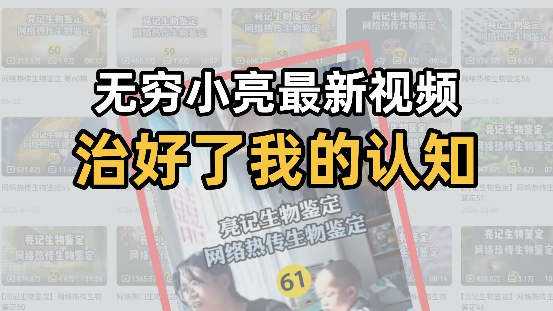 我从没意专题封面