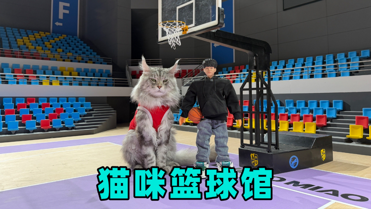 个篮球馆专题封面