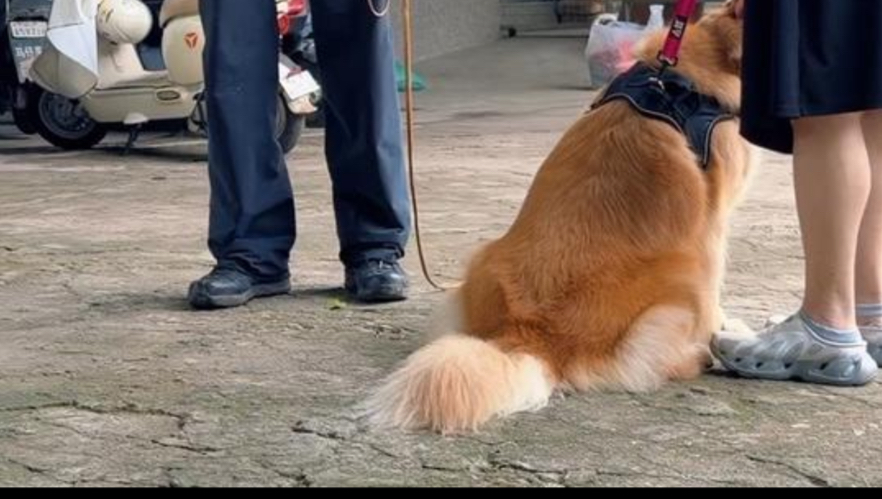 我们教了专题封面