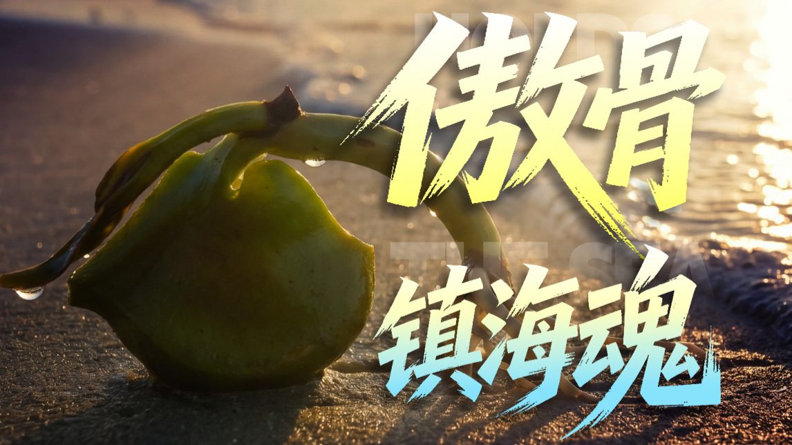 此树扎根专题封面
