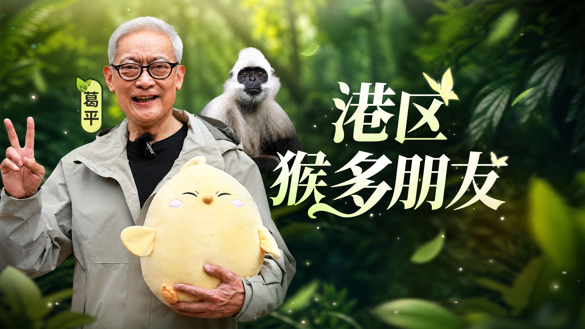 港 区 猴 多 朋 友