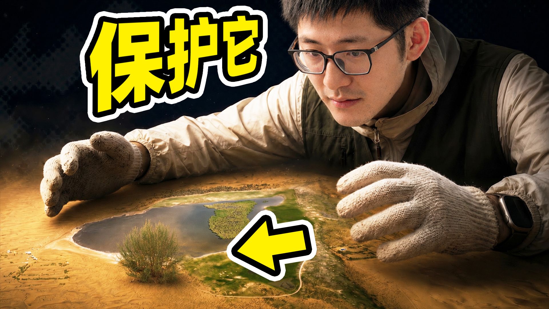 在沙漠里种了1800万棵树，然后呢？