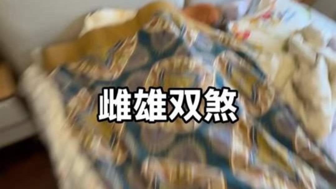 冰箱拿下专题封面