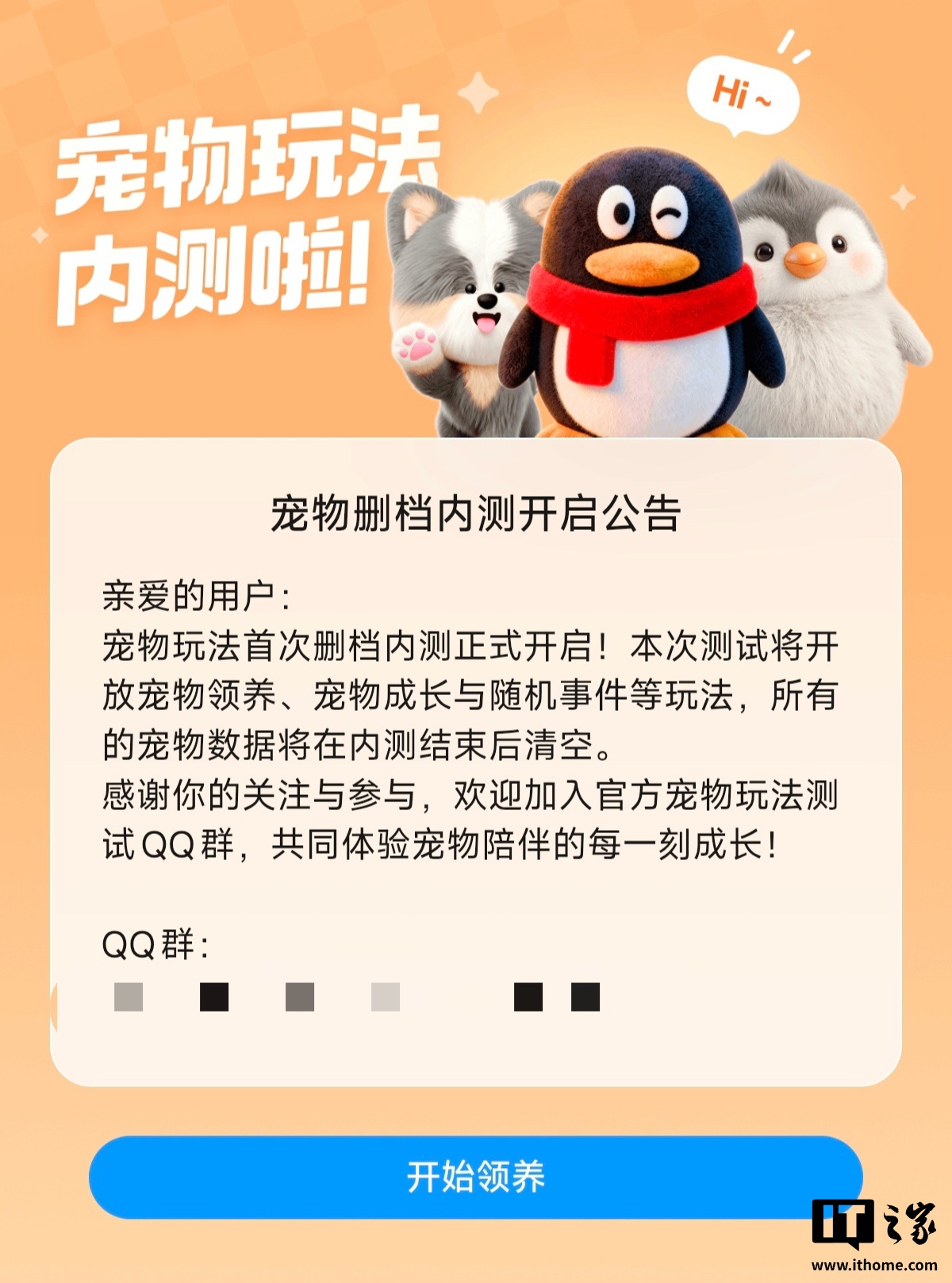 内测全新专题封面