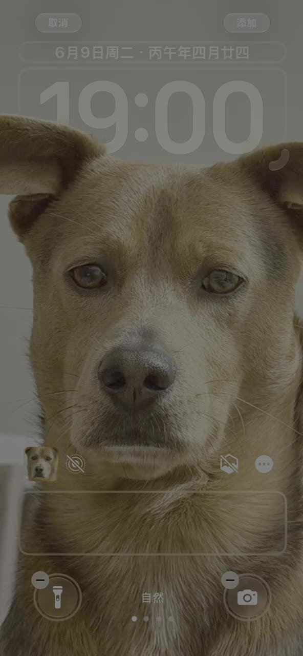 苹果 iPhone 国行机型升级 iOS 27 后可使用 AI 壁纸扩图功能，网友热议