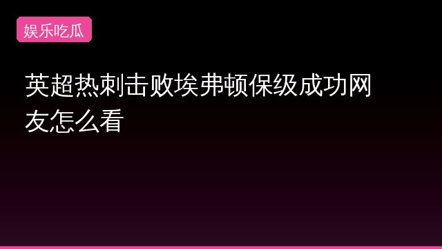英超热刺击败埃弗顿保级成功网友怎么看