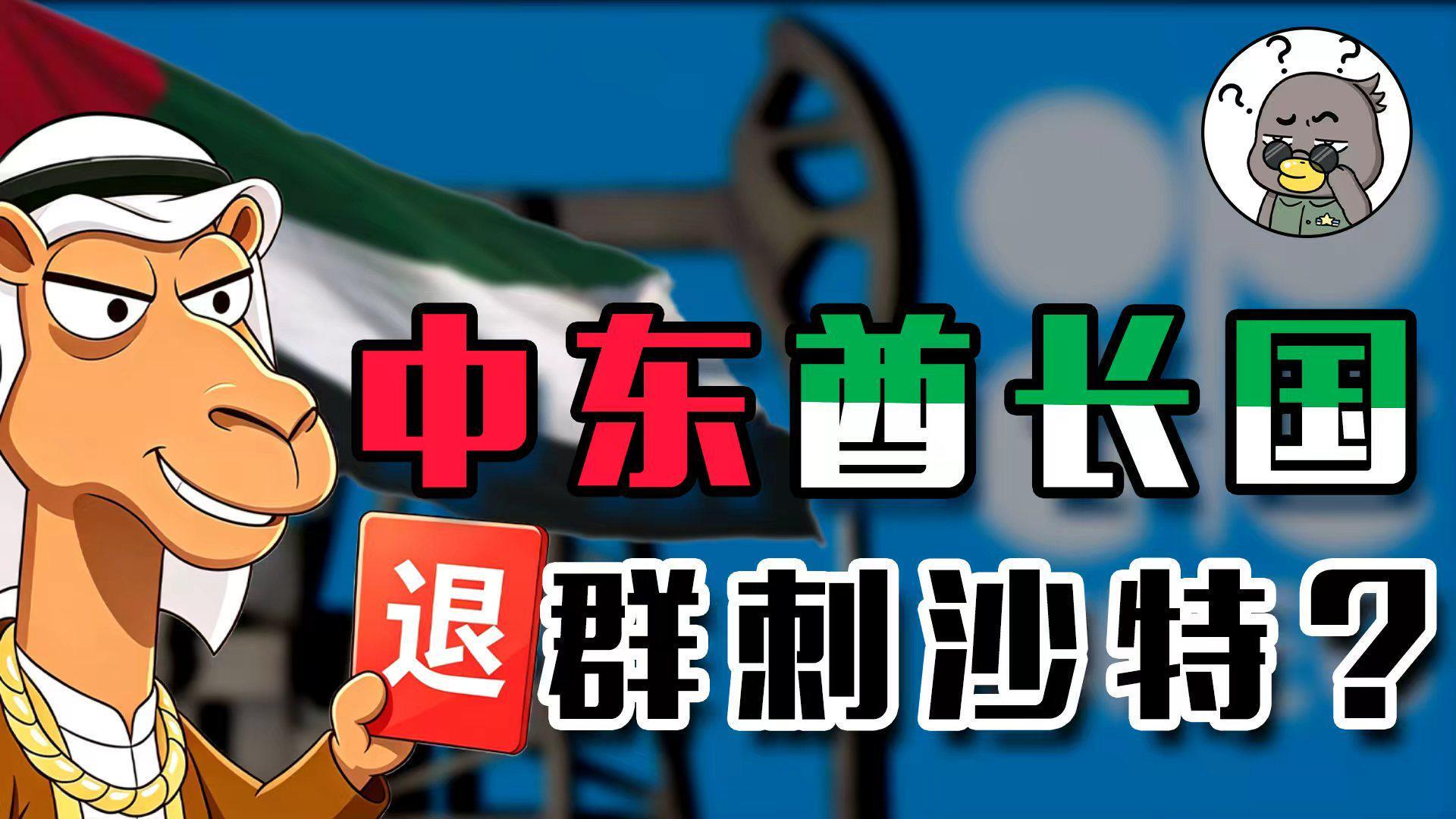狗大户二号退群 OPEC，中东王爷们打起来了？