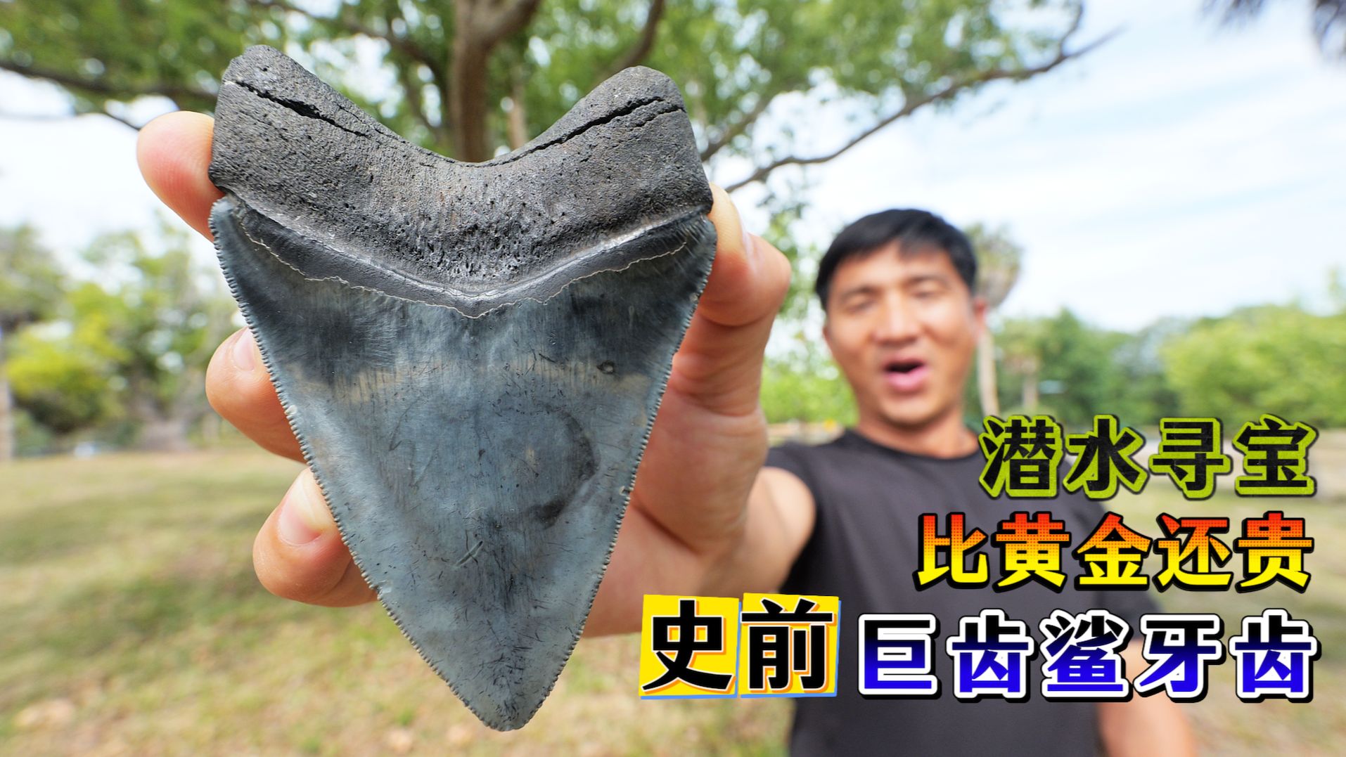 在佛罗里专题封面