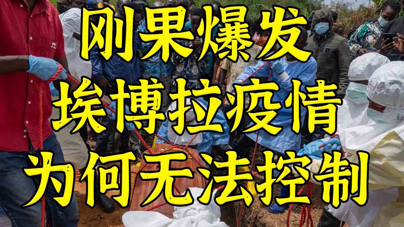千人感染专题封面